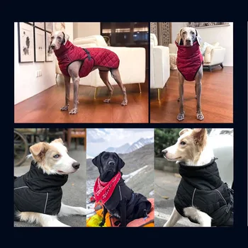 Waterproof Large Dog Jacket  3