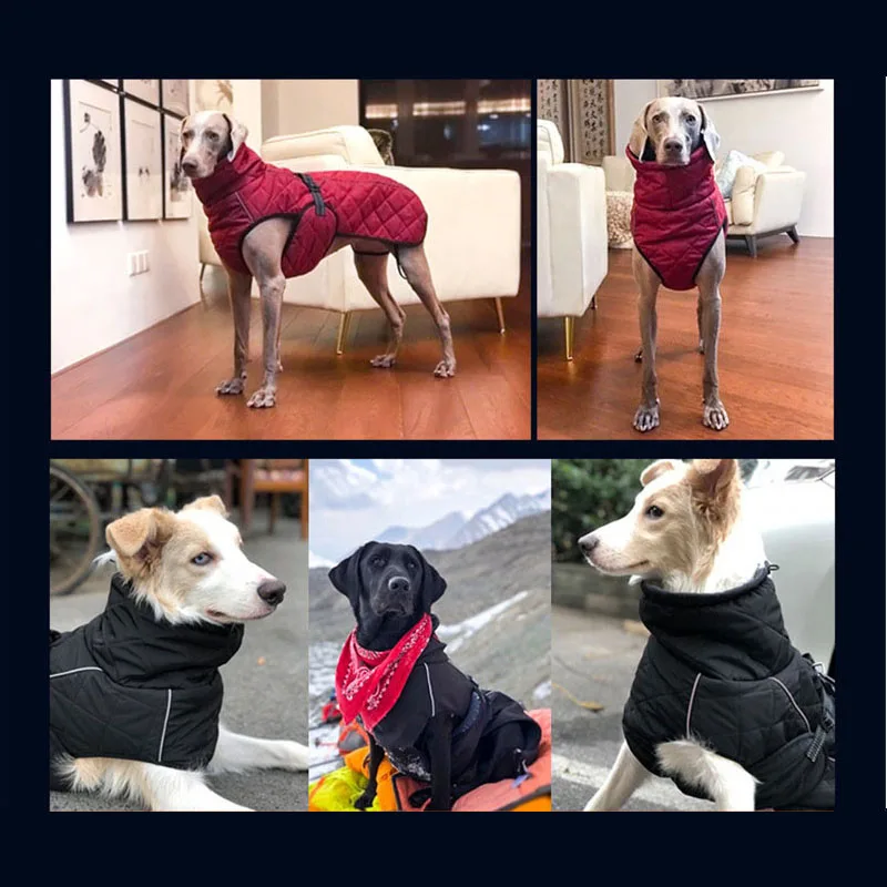 Online Ropa para mascotas al por mayor chaqueta para perros ropa de invierno para perros ropa roja para perros Golden Retriever impermeable chaqueta grande para perros negro
