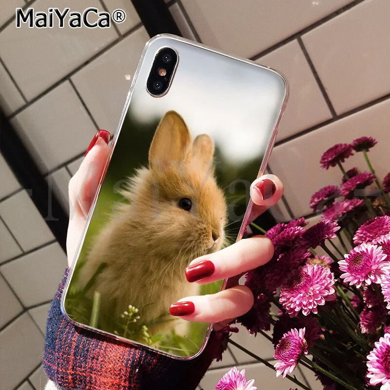 MaiYaCa, мягкий чехол для телефона из ТПУ с милым рисунком кролика, кролика, для Apple iPhone 8, 7, 6, 6S Plus, X, XS, MAX, 5, 5S, SE, XR - Цвет: A11
