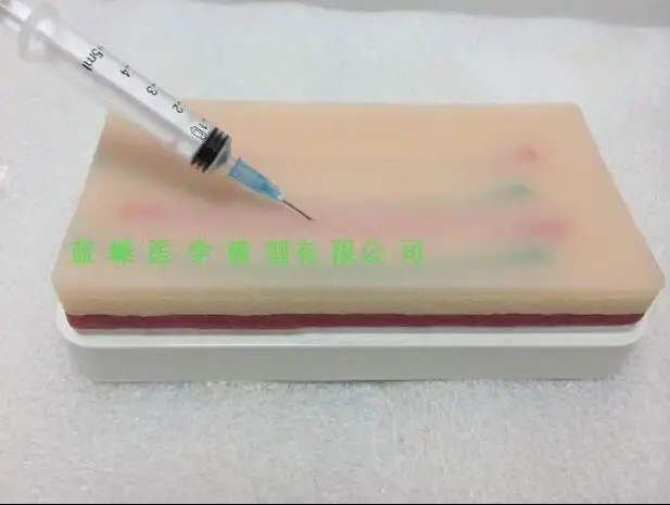 

Multi-functional skin intravenous injection exercise module skin model arterial infusion muscle puncture training
