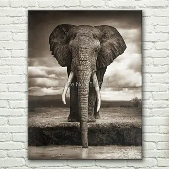 

high quality art oil painting--Elephant--HOME & WALL # TOP Decor ART--OIL painting--Free shipping cost 36 inches