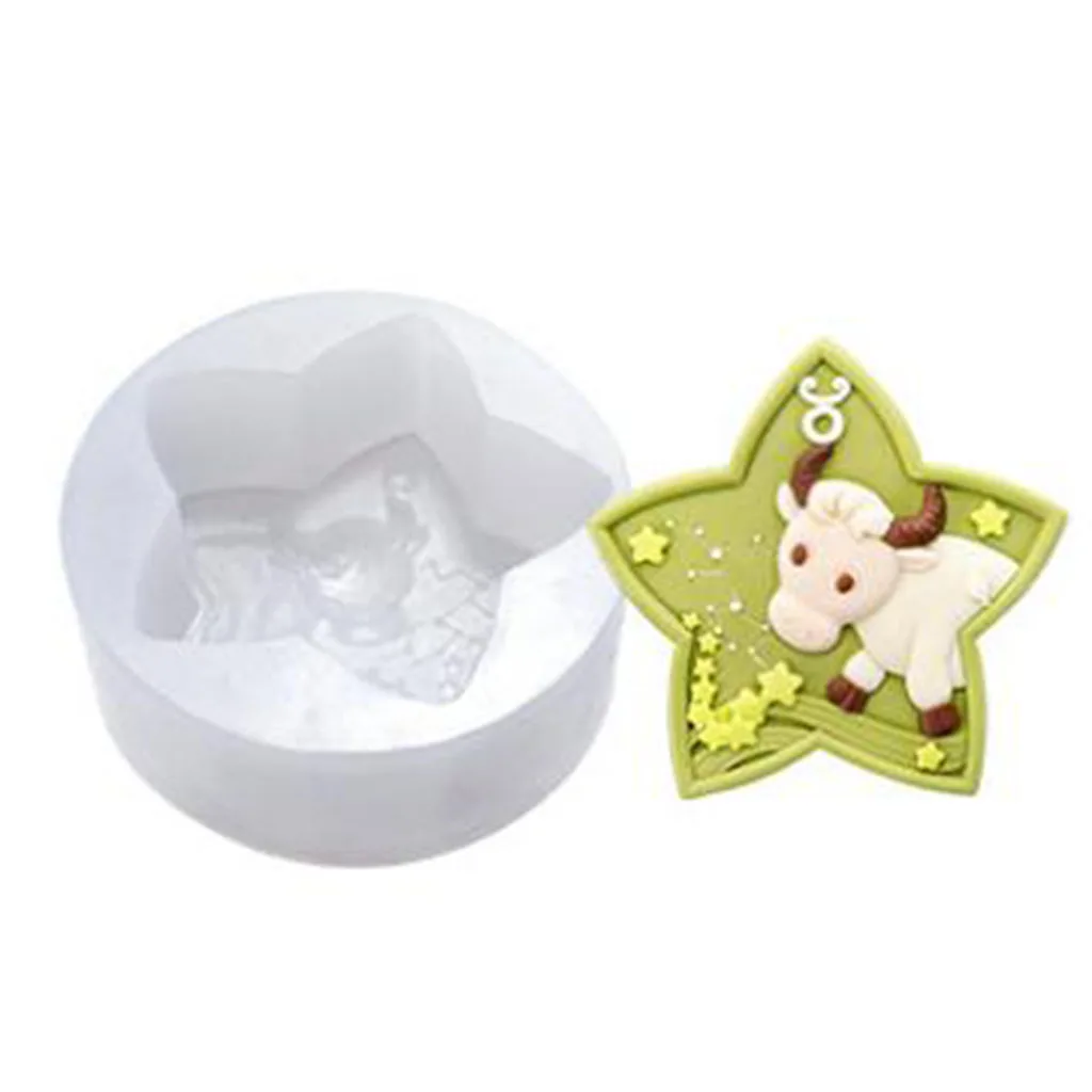Food Grade Silicone Zodiac Sign Mold for Cake Decor,Resin Craft