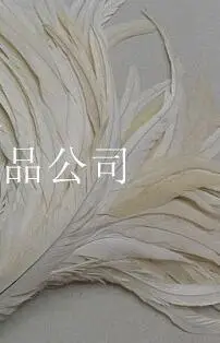 Feather clothing Stage performance catwalk carnival Headdress flower pubs party Men's wear women's clothing - Цвет: Белый