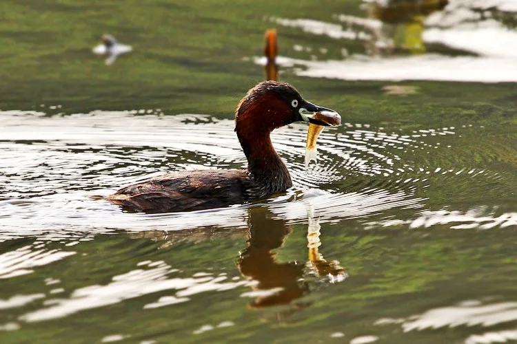 TB2D6yzc5GO.eBjSZFpXXb3tFXa_!!672942768