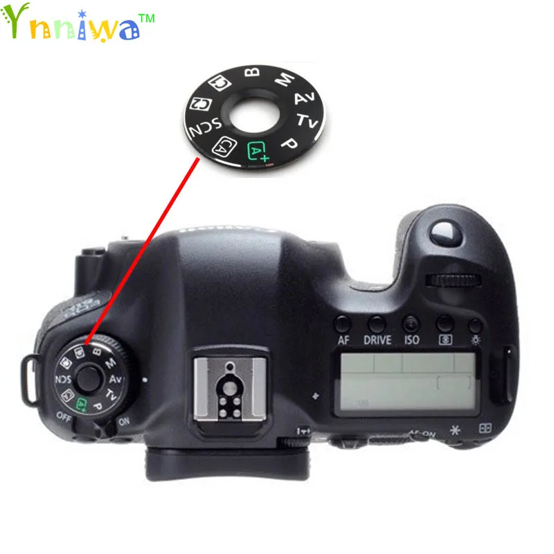 6D