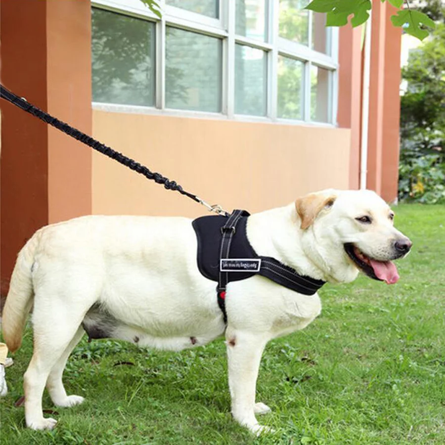 Leather Durable Soft Padded Vest Medium & Large Pet Dog Harness,Personalized Walking Training