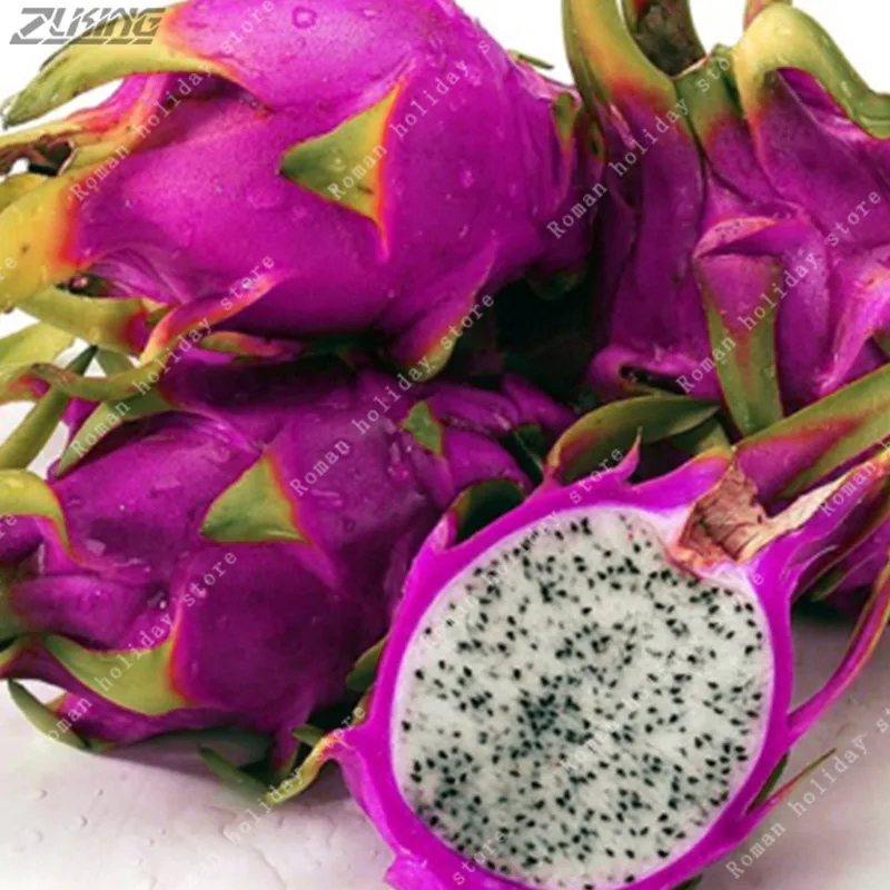 200 Pcs Seeds Rare Mini Pitaya Pink Tropical Dragon Fruit GreenSeedGarden