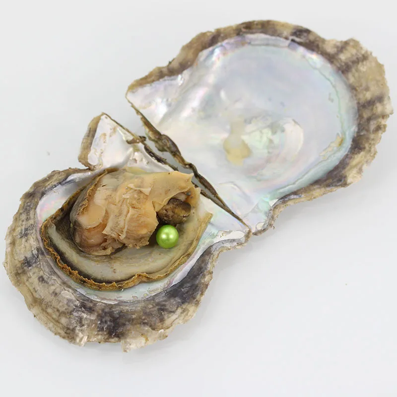 10pcs green pearl oysters for Live broadcast 6 8MM round pearl beads