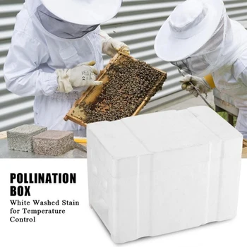 

Bee Hive Box Harvest Beehive Queen Pollination For Bee Mating Copulation Queen Reserve Beekeeping Tool