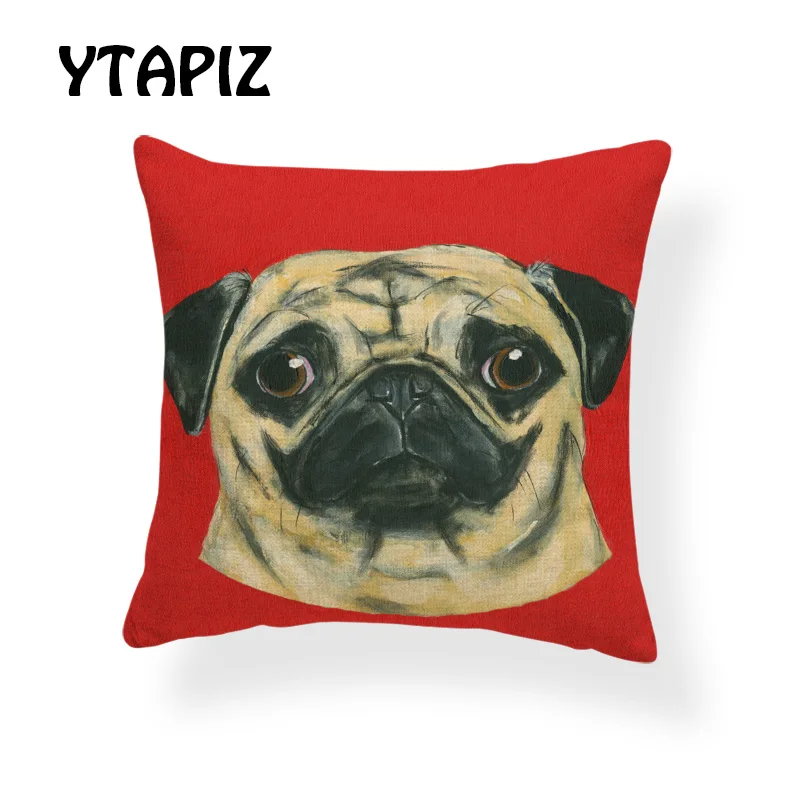 AB9166 (1) pug