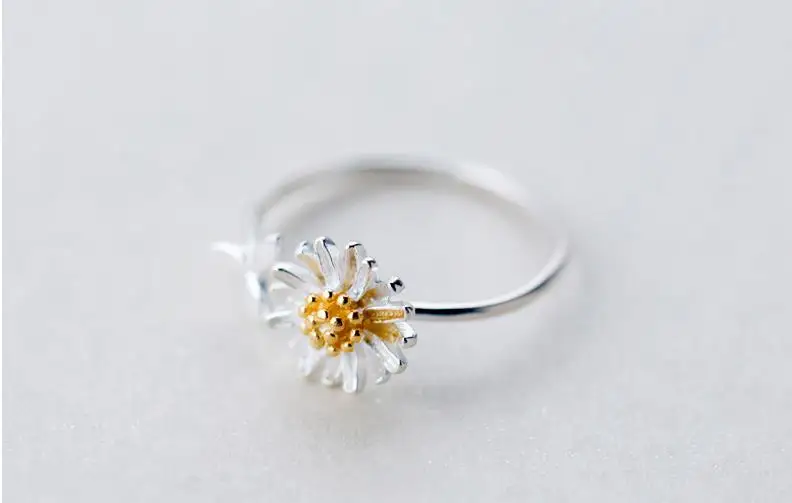 36020181123163045340