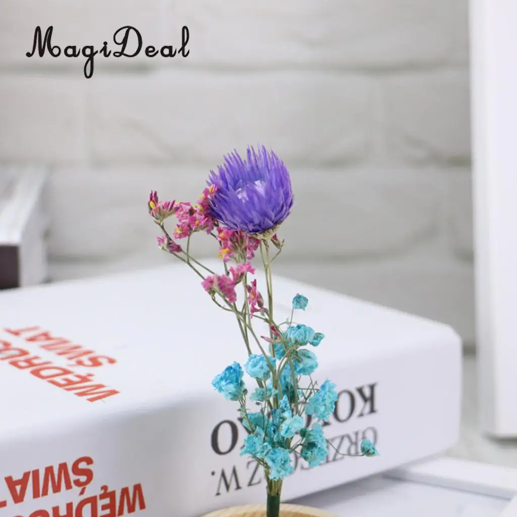 Clear Glass Display Cloche Bell Jar Dried Immortal Flower Preservation Vase Wooden Base Cafe Bar Countertop Decor Ornament