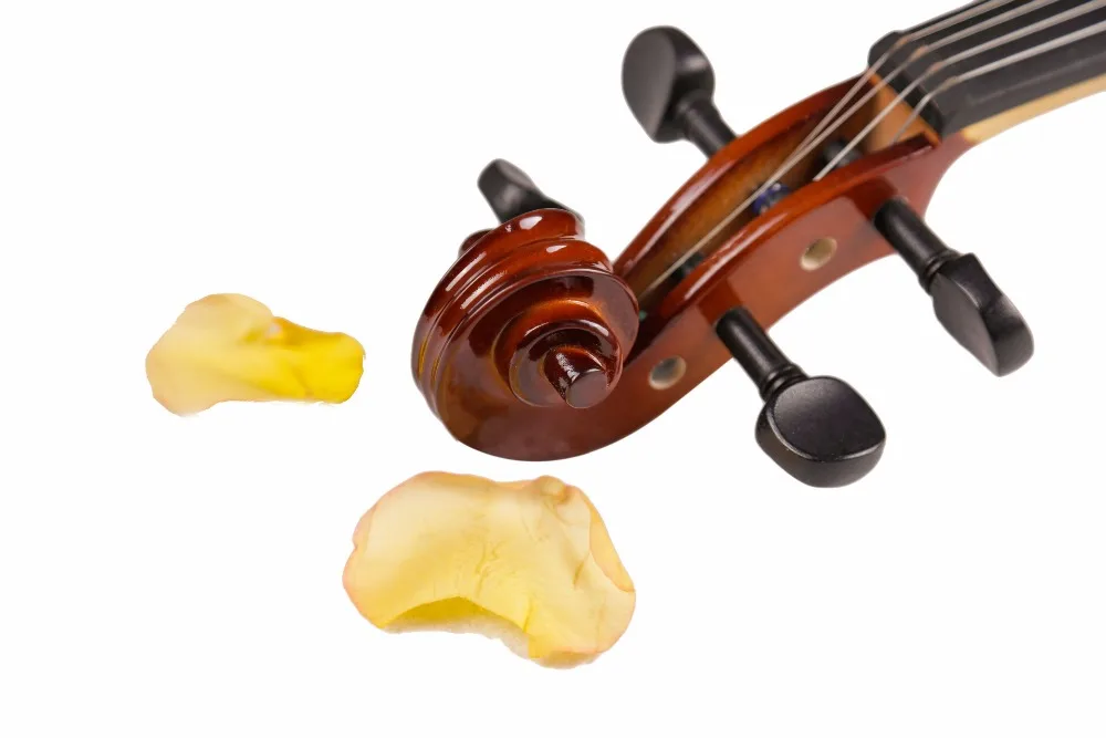 Высокое качество цельная деревянная скрипка с чехлом тетива для лука o для начинающих