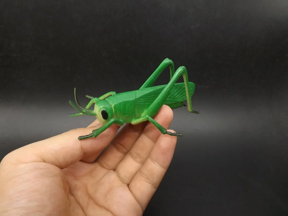 バッタ偽動物認知教育野生生物モデルおもちゃ子供 Aliexpress Toys Hobbies