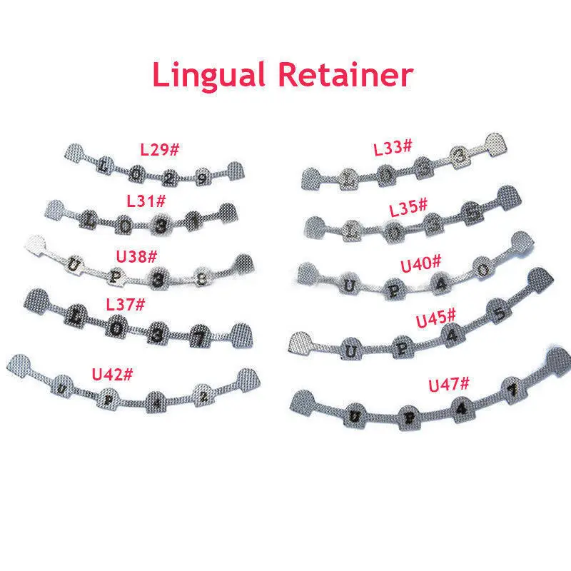 

OSLDENT 2 Pcs/Packs Dental Orthodontic Universal Retenedor Lingual Retainer Splits Mesh Base L33 L29 L31 L35 L37