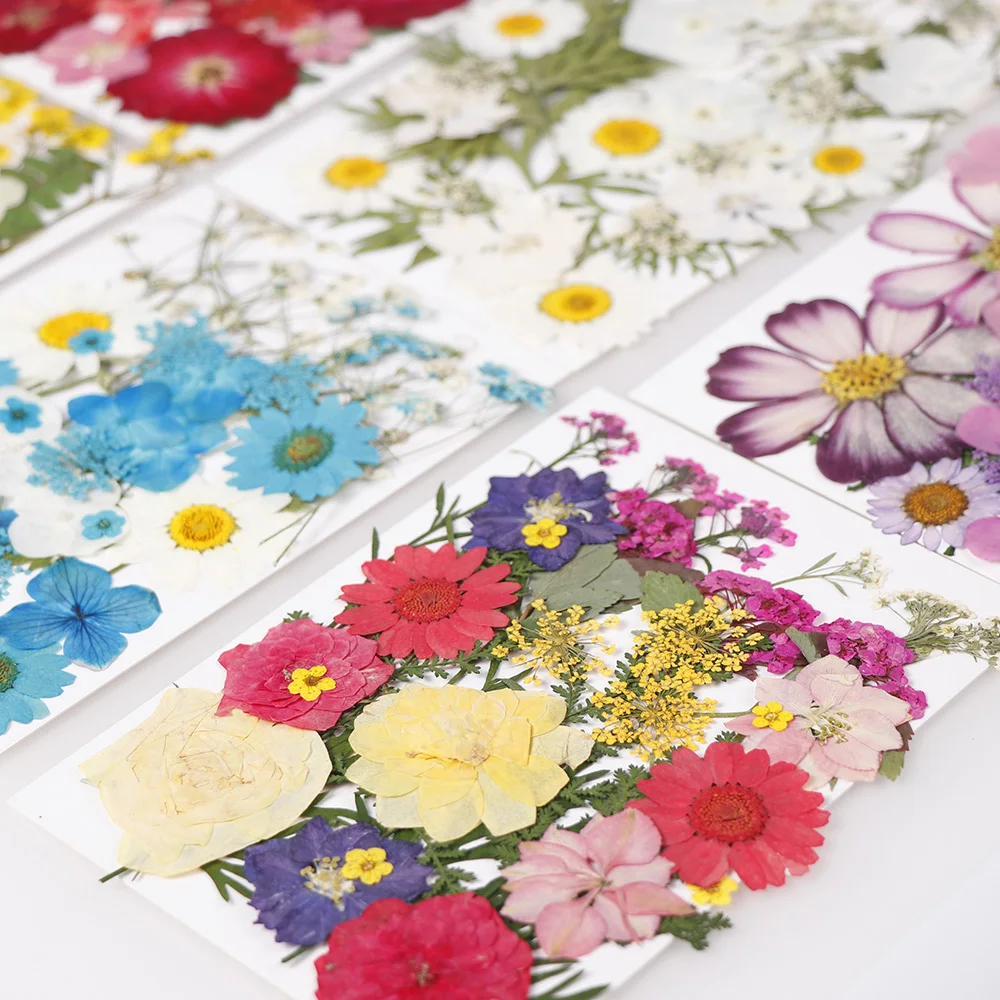 

1 Bag Real Dried Flower Material Dyeing Flower For Epoxy Resin Pendant Necklace Jewelry Making Craft Phone Case DIY Accessories