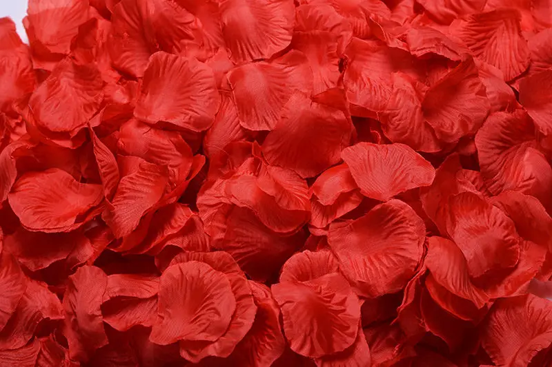 2382-01-10pcs-red-