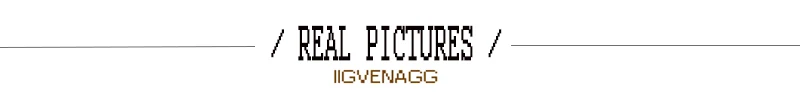 REAL PICTURE