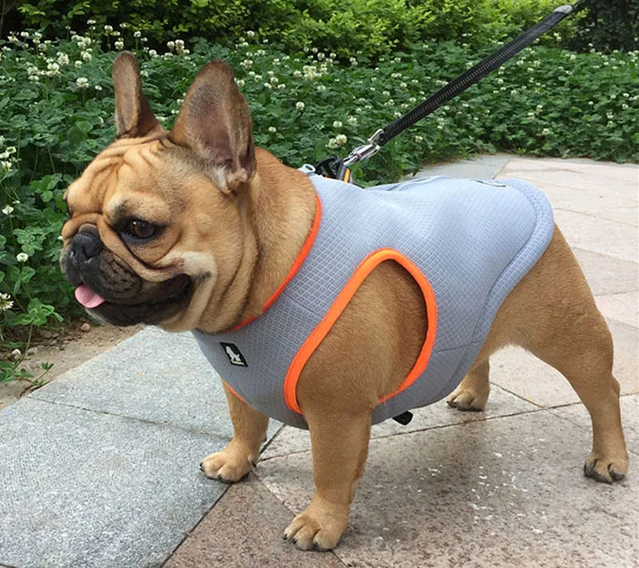 Truelove, летняя одежда для собак, охлаждающий жилет, куртка, Светоотражающий Жилет для собак, для маленьких и больших собак, сетчатый жилет для собак, одежда для бульдога