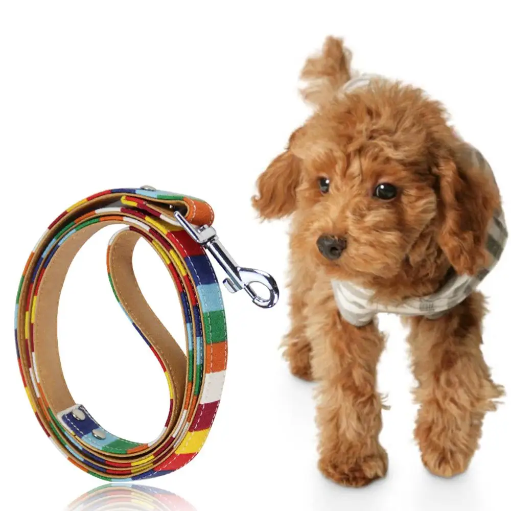 

pet dog collar Cavas Pu Leather Colorful Rainbow Plain Pet Dog Collar High quality Halter Harness for Small dog collar lead