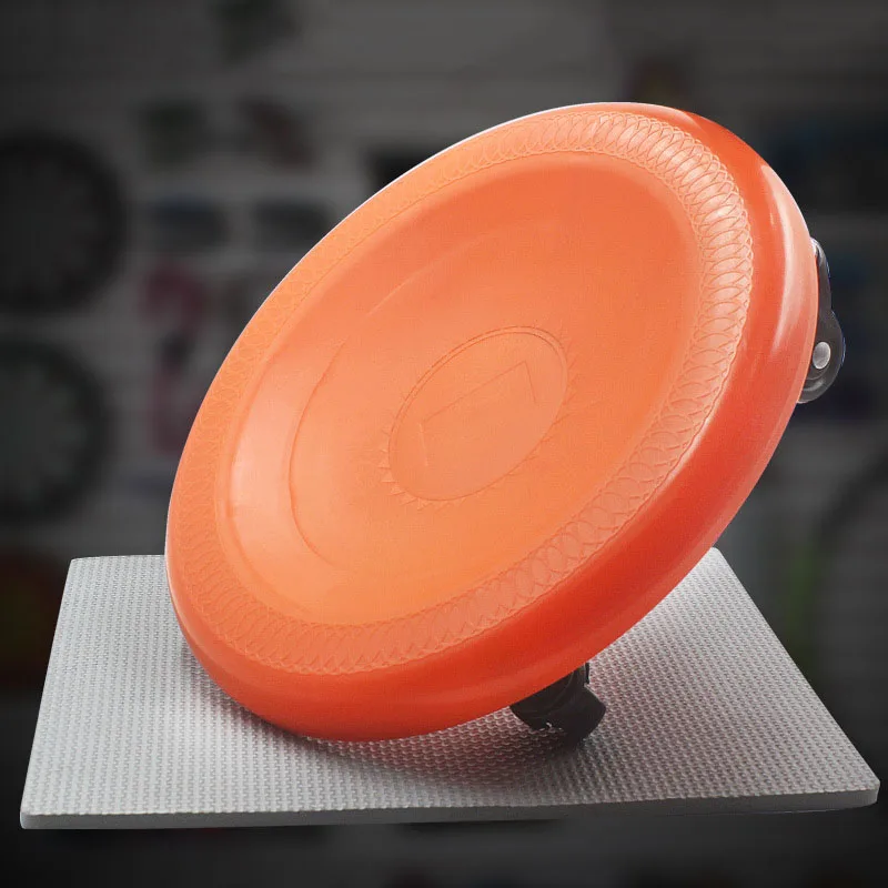Abdominal Exercise Plate (17)