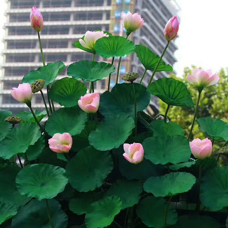 

1pcs High Quality PU Hand-feeling Lotus Flower Simulation Lotus Leaf Branch Stage Photography Props Hotel Decoration