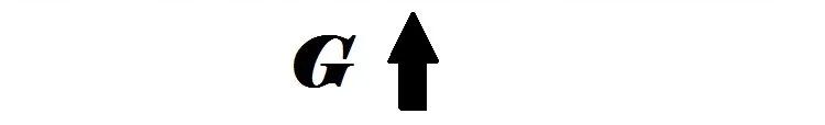 G 7