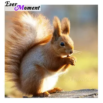 

Ever Moment Squirrel Diamond Painting Full Square Drill Hobby Household Rhinestone 5D DIY Diamond Embroidery Handmade S2F1237