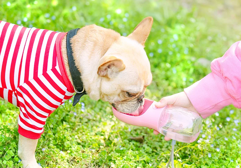 Портативная ПЭТ бутылка для воды для собак для маленьких и крупных собак Путешествия щенок кошка питьевой чаша Открытый диспенсер для воды для домашних животных питатель продукт для домашних животных