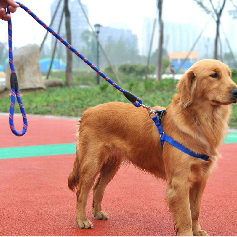 Pet Harness Nylon Adjustable Safety Control Restraint Cat Puppy Dog