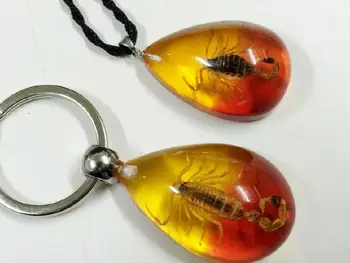

FREE SHIPPING 10 pcs Vogue Two Design Real Golden Scorpion Charming Pendant Keychain