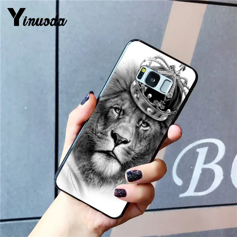 Russian version wolf tiger lion Leopard bear animal