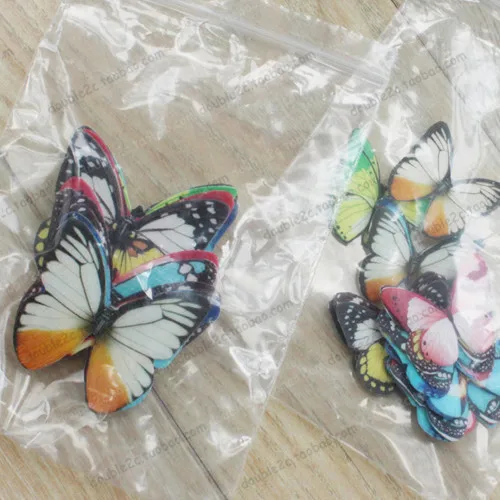 edible butterfly 9_
