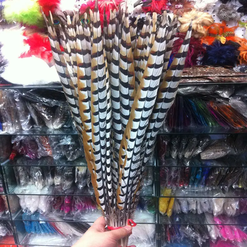 pheasant feather headpiece