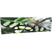 P10 крытый полный coclor светодиодный экранный модуль 320*160 мм 1/8S 32*16 пикселей SMD3528 для видеостены светодиодные панели