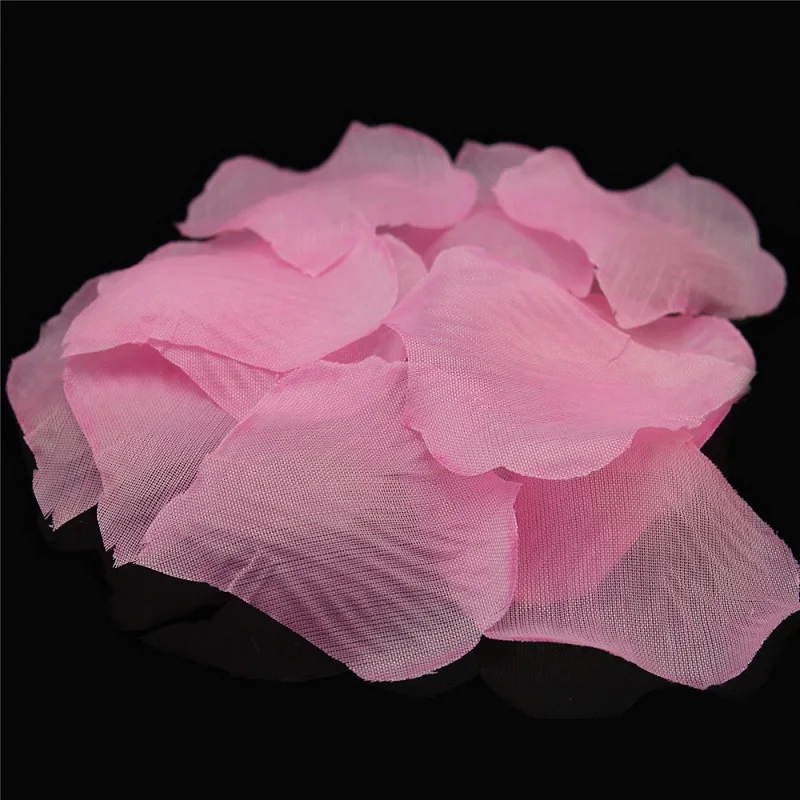 C31-C09light pink (2)