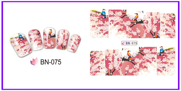 BN-075