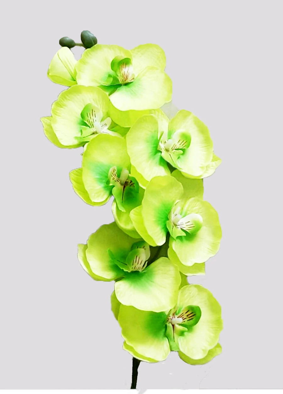 HTB1PoO7RVXXXXcjXpXXq6xXFXXXC