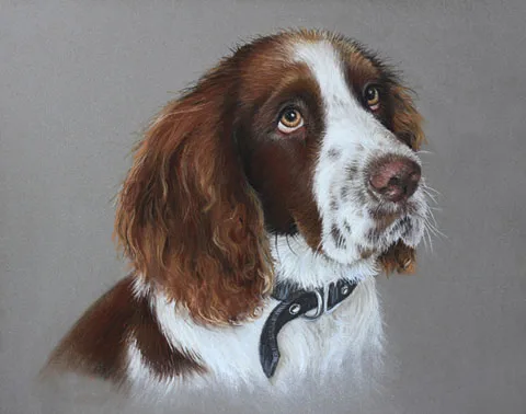 

2019 TOP dog art painting-- German Spaniel Dog OIL painting---100% handpainted art -24 " - accept custom dog painting