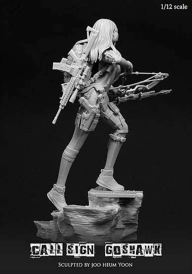 1/12 Resin Figure Model Kit Call Sign Goshwak 150mm Unassembled Unpainted