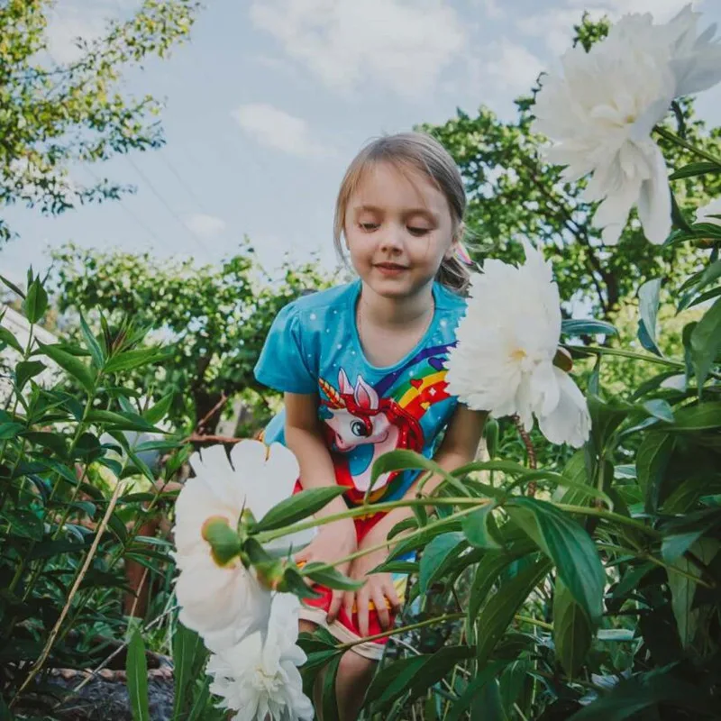 QQ截图20190530225757