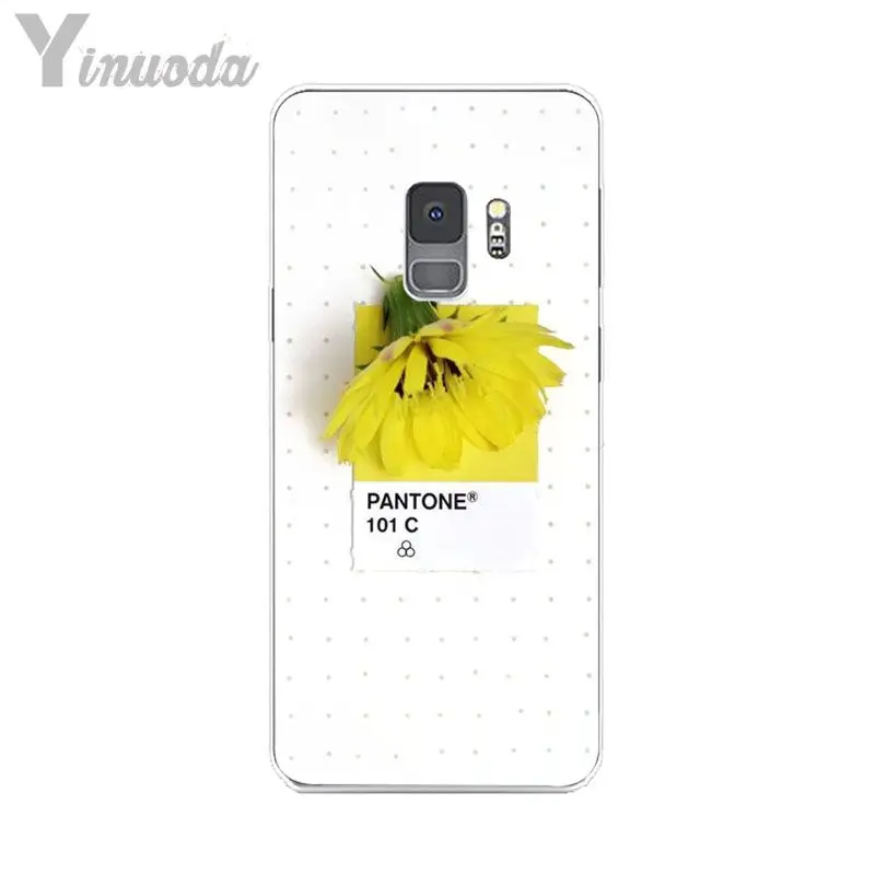 Pantone Candy Color Flower