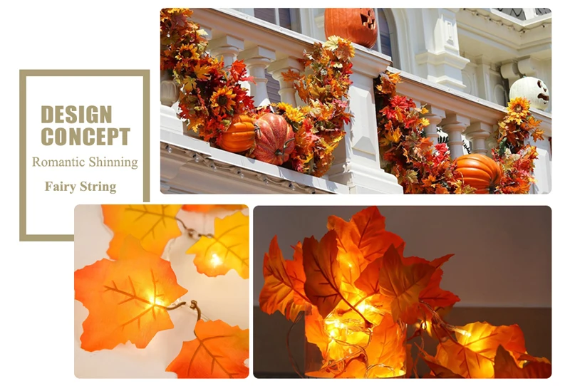 HTB1Jk.UloOWBKNjSZKzq6xfWFXay