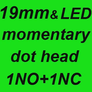 19mm 