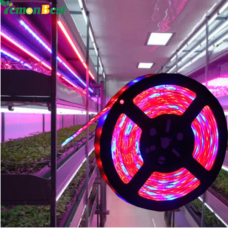 DC 12V Led Grow Lamp 5050 Grow LED Flexible Strip Tape Light 51 5 Red