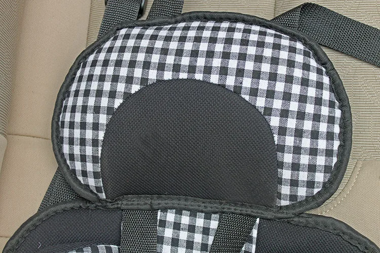 2769829393_1557429600