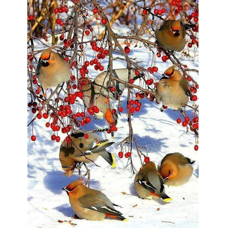 53