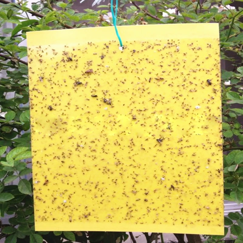 Trapro Yellow Dual-Sided Sticky Fly Traps for Plant Insect Like Aphids, Fungus