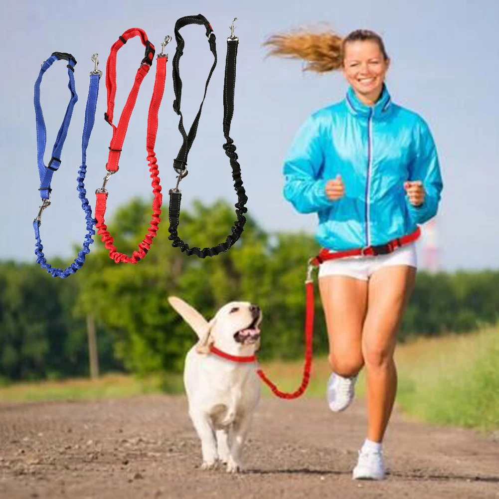 

Pet Dog Traction Rope Slip Lead Training Elastic Dog Collar Belt Adjustable Dog Walk Running Chain Rope Leash Lead Random Color