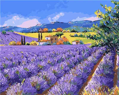 40x50_